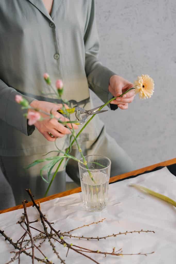 Person Holding White Flower In Clear Glass Vase 6932294 683X1024 1